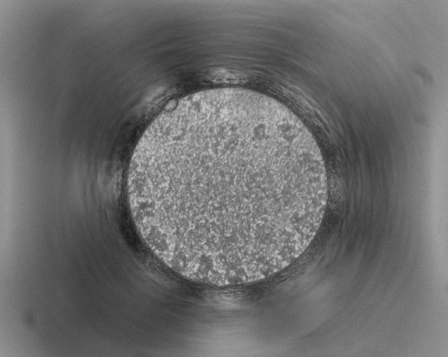 X0000116100652201001040953