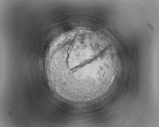 X0000116100653201001040953