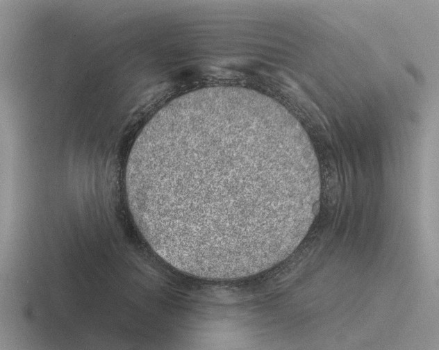 X0000116100654201001040953