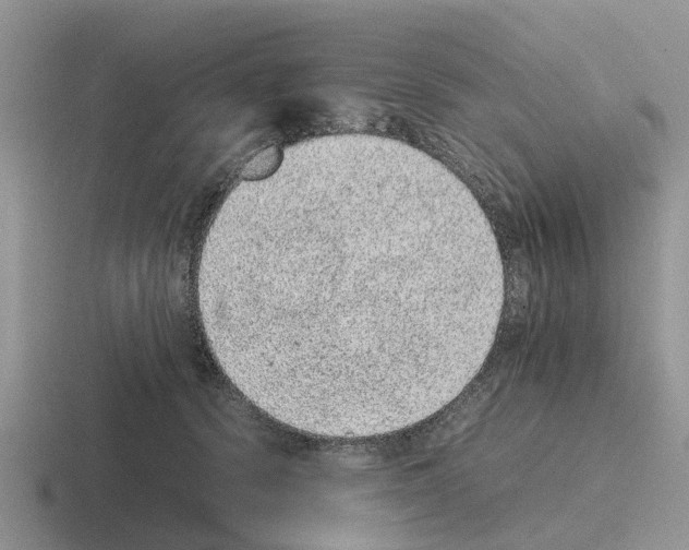 X0000116100656201001040953