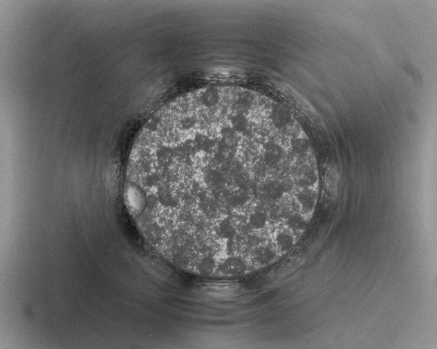 X0000116100659201001040953