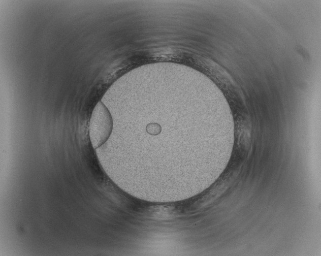 X0000116100660201001040953