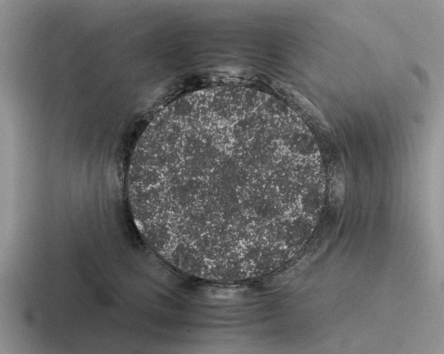 X0000116100661201001040953