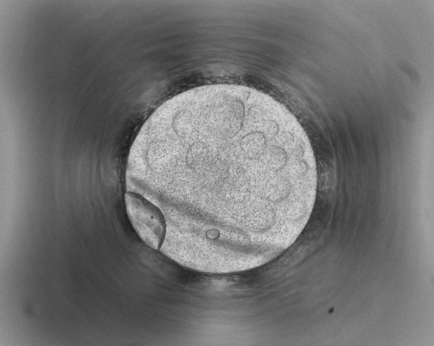 X0000116100662201001040953