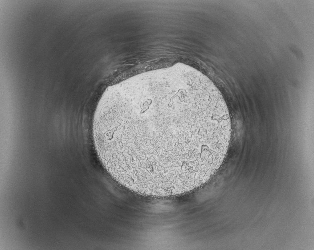 X0000116100664201001040953