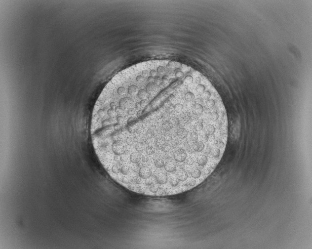 X0000116100666201001040953