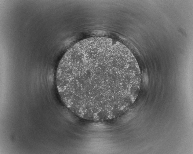 X0000116100668201001040953