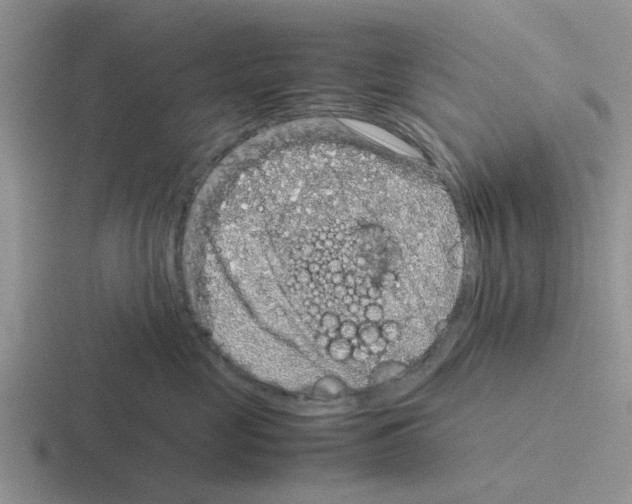 X0000116100669201001040953