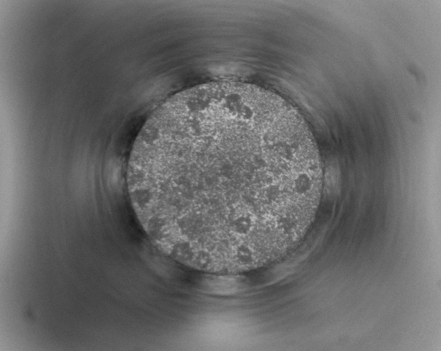 X0000116100671201001040953