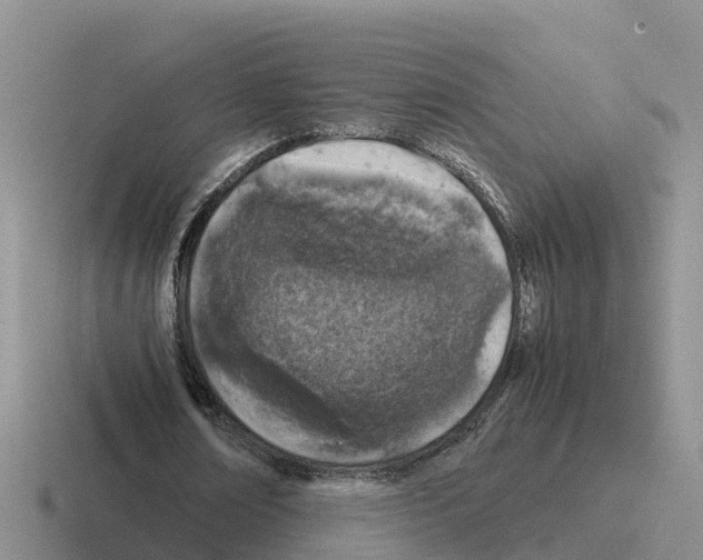 X0000116100674201001040952