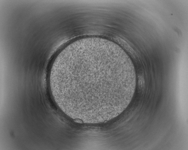 X0000116100676201001040952