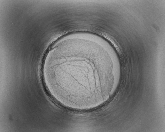 X0000116100677201001040952