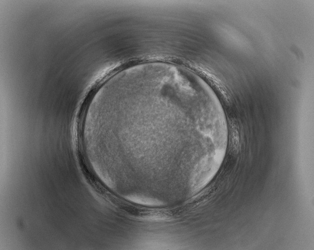 X0000116100678201001040952