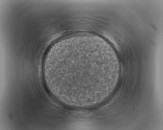 X0000116100681201001040952