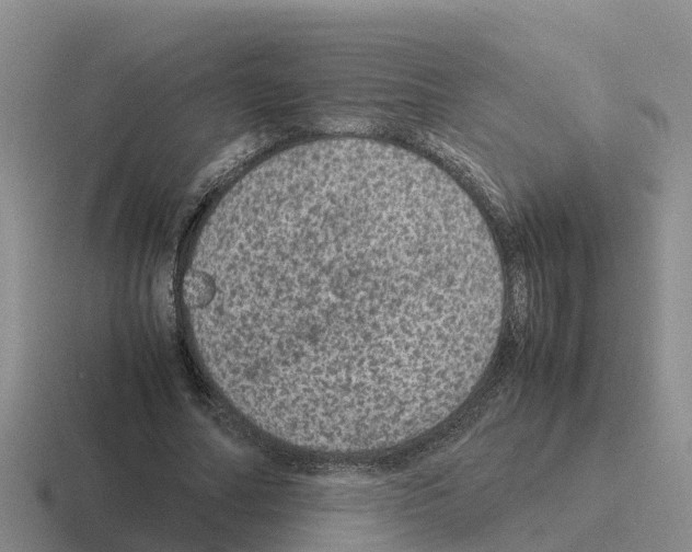 X0000116100682201001040952