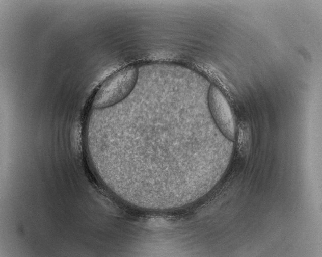 X0000116100684201001040952