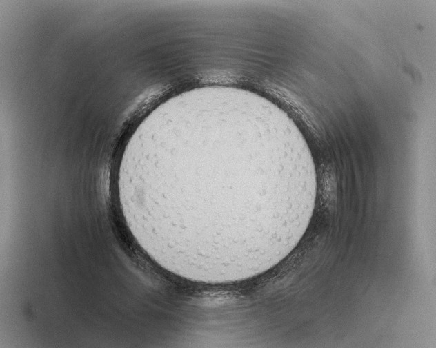 X0000116100686201001040952