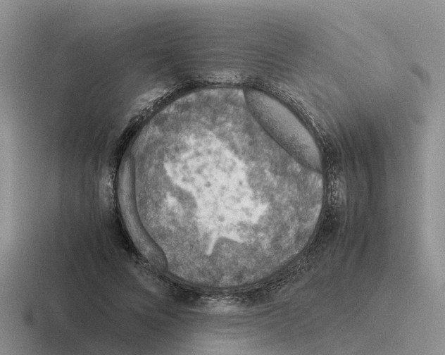 X0000116100688201001040952