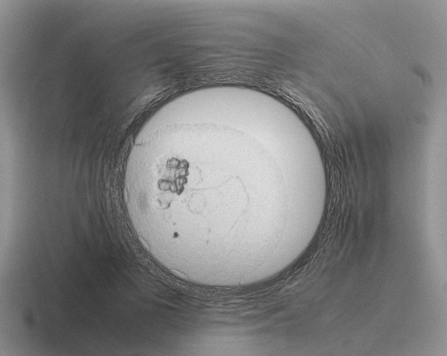 X0000116100693201001040952