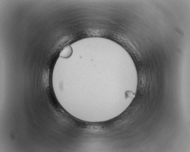 X0000116100694201001040952