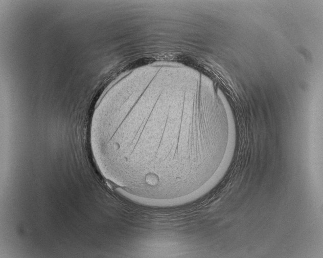 X0000116100697201001040952