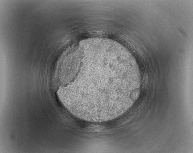 X0000116100699201001040952