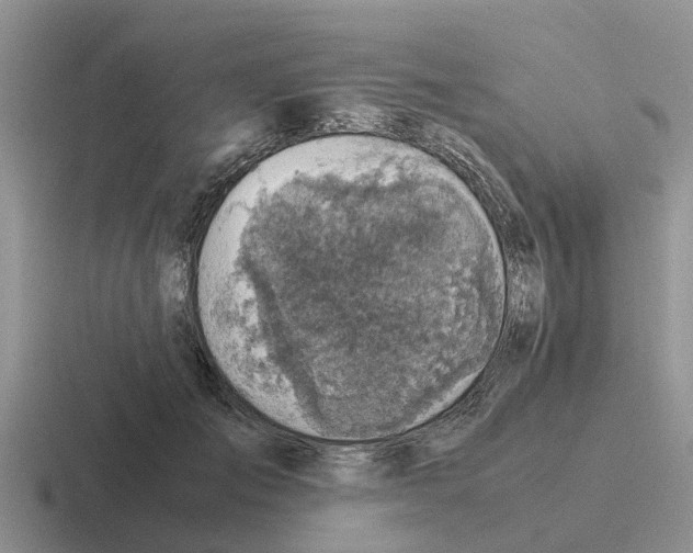 X0000116100701201001040952