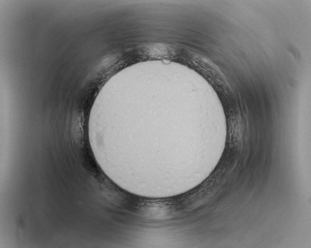 X0000116100702201001040952