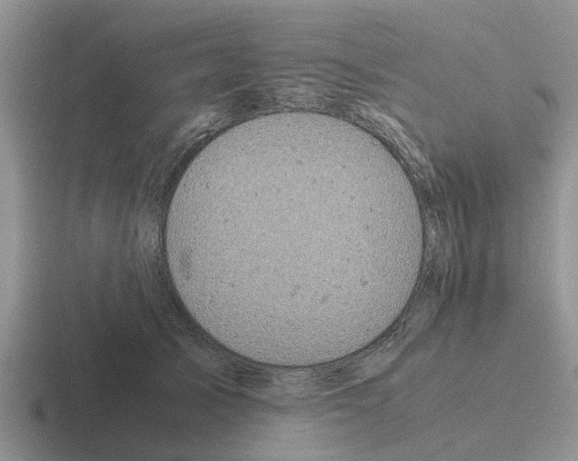 X0000116100705201001040952