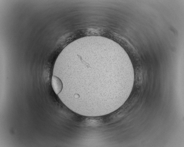 X0000116100706201001040952