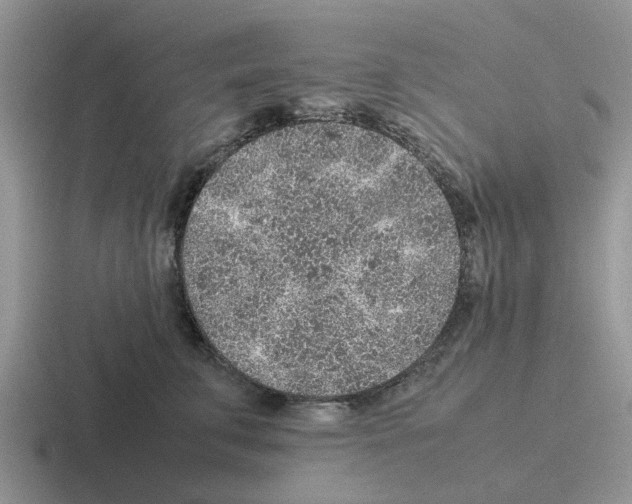 X0000116100711201001040952