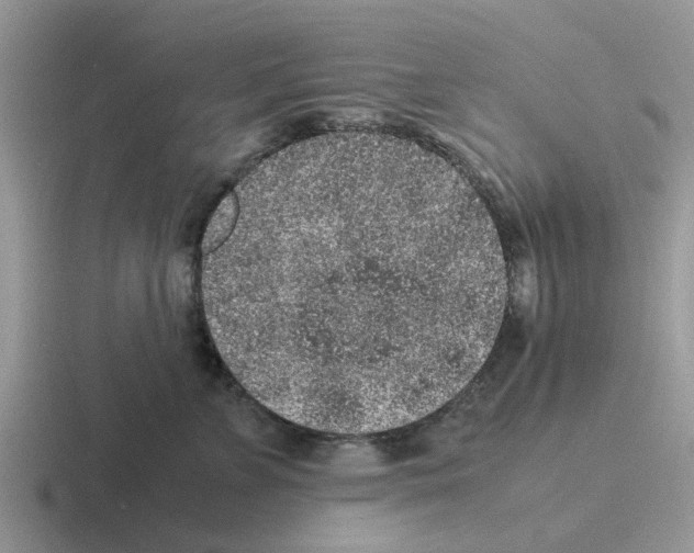 X0000116100715201001040952