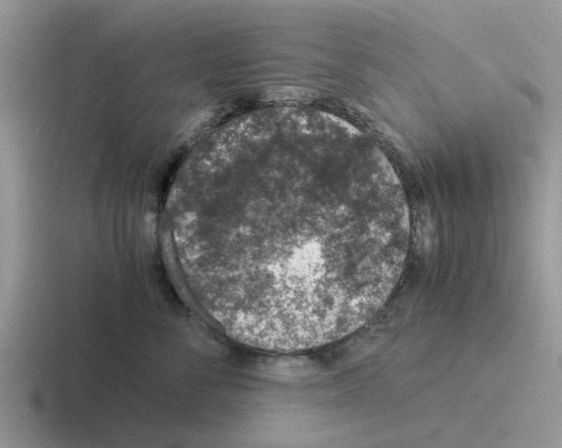 X0000116100716201001040952