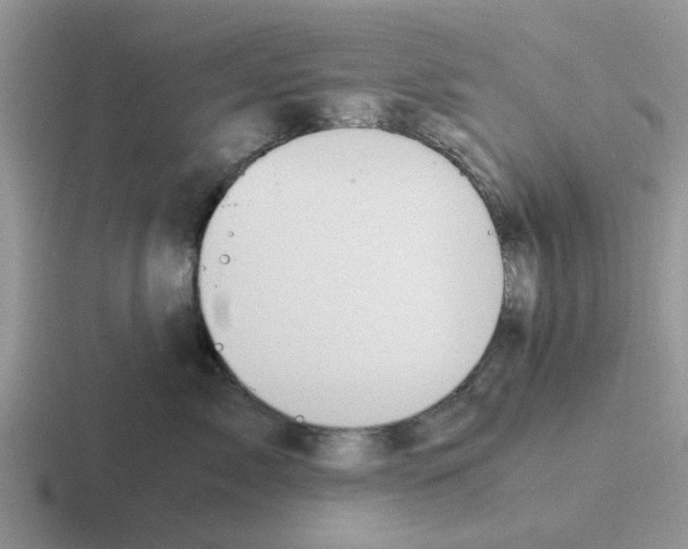 X0000116100717201001040952