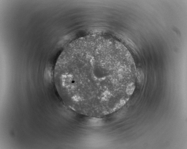 X0000116100718201001040952