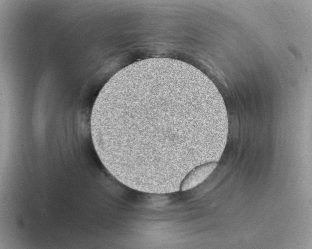 X0000116100719201001040952