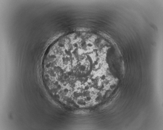 X0000116100721201001040951