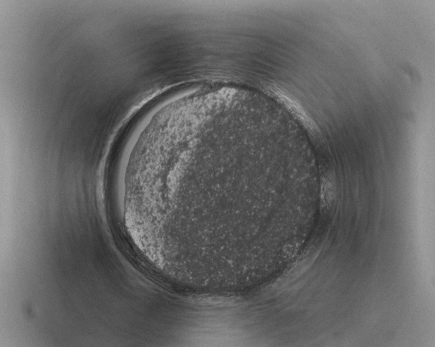 X0000116100722201001040951