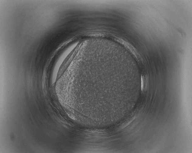 X0000116100723201001040951