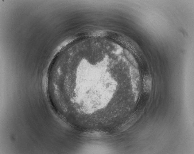 X0000116100726201001040951