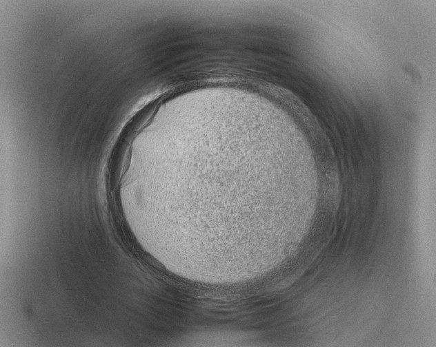 X0000116100727201001040951