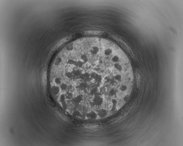 X0000116100729201001040951