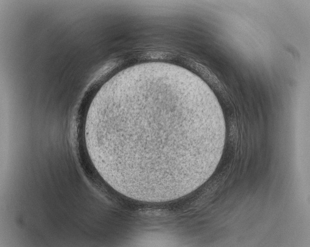 X0000116100730201001040951