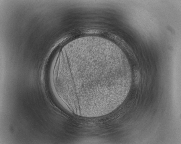 X0000116100731201001040951