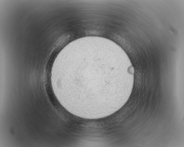 X0000116100738201001040951