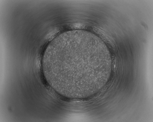 X0000116100746201001040951