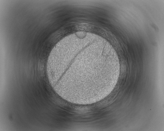 X0000116100749201001040951