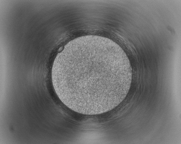 X0000116100750201001040951