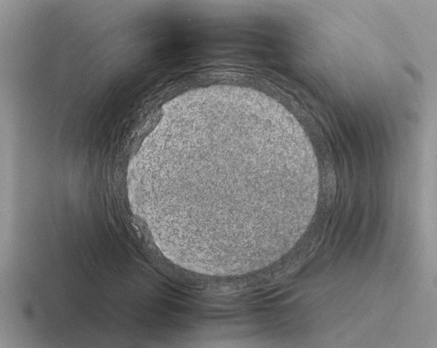 X0000116100751201001040951