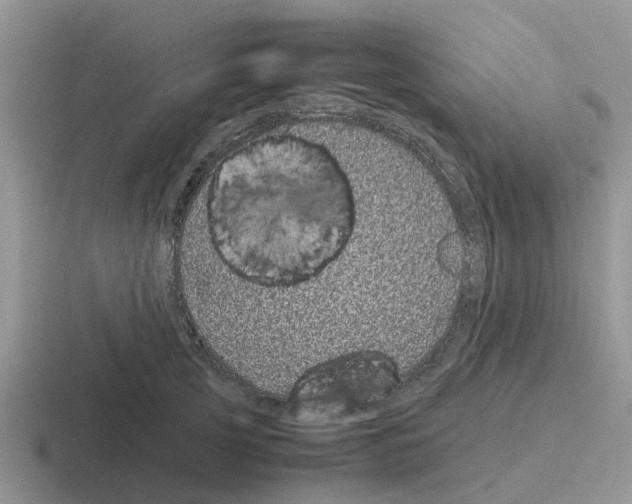 X0000116100753201001040951